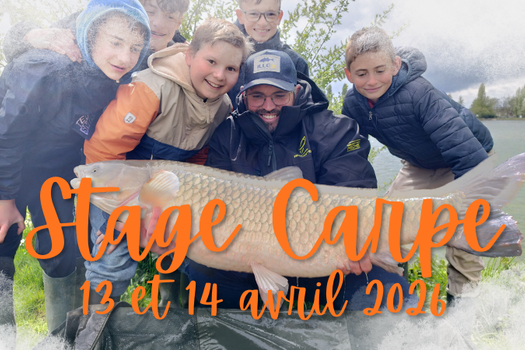 Stage pêche de la Carpe