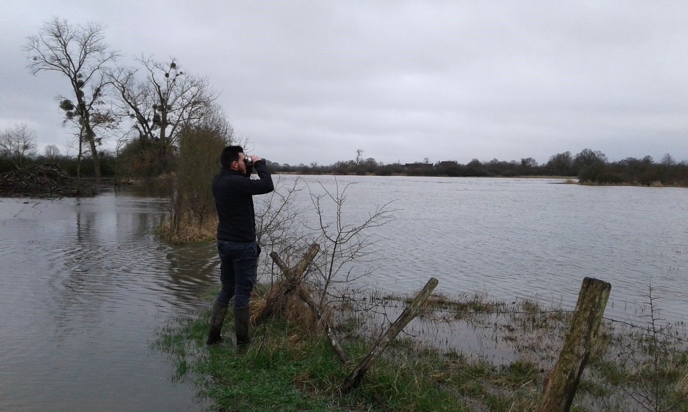 zone humide barville - pêche 61