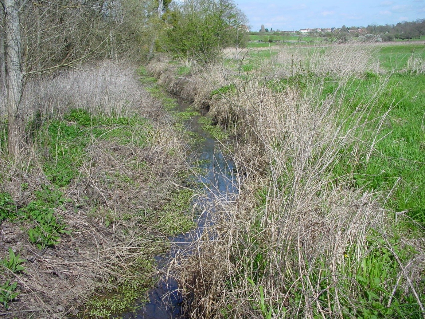 fossés aménagés condé sur sarthe - pêche 61