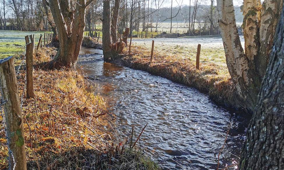 RÉTABLISSEMENT DE LA CONTINUITÉ ÉCOLOGIQUE DU DÉVERSOIR DE DÉCHARGE DU MOULIN DE LA FORGE.