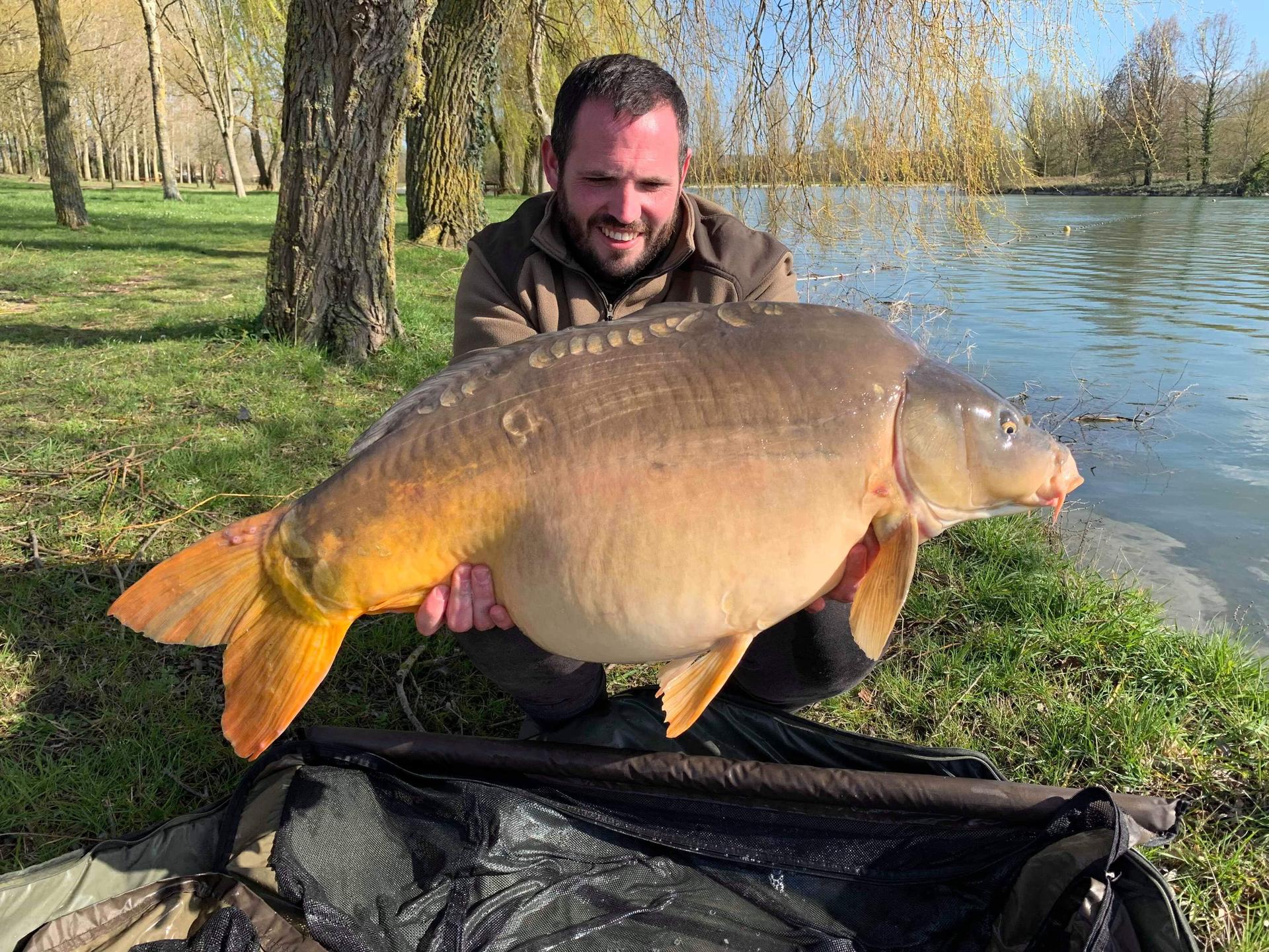 Pêche à la Carpe en rivière  la sarthe 