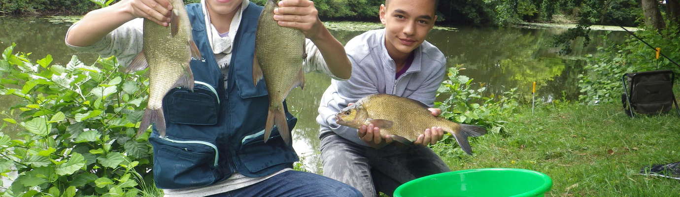 Poissons d'étang - Quels sont les poissons d'étang et de rivière