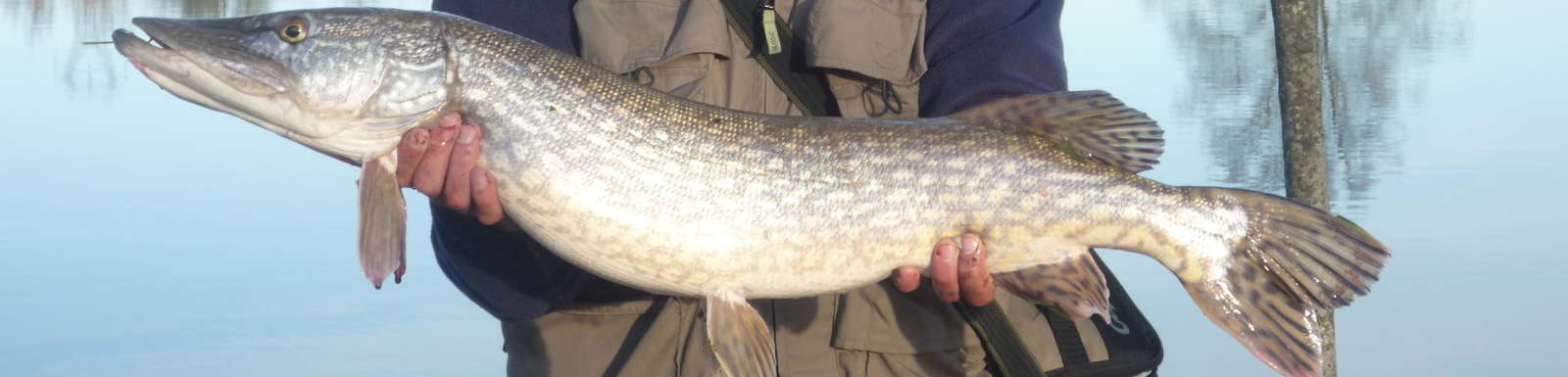 Accueil - Fédération de pêche de l'Orne