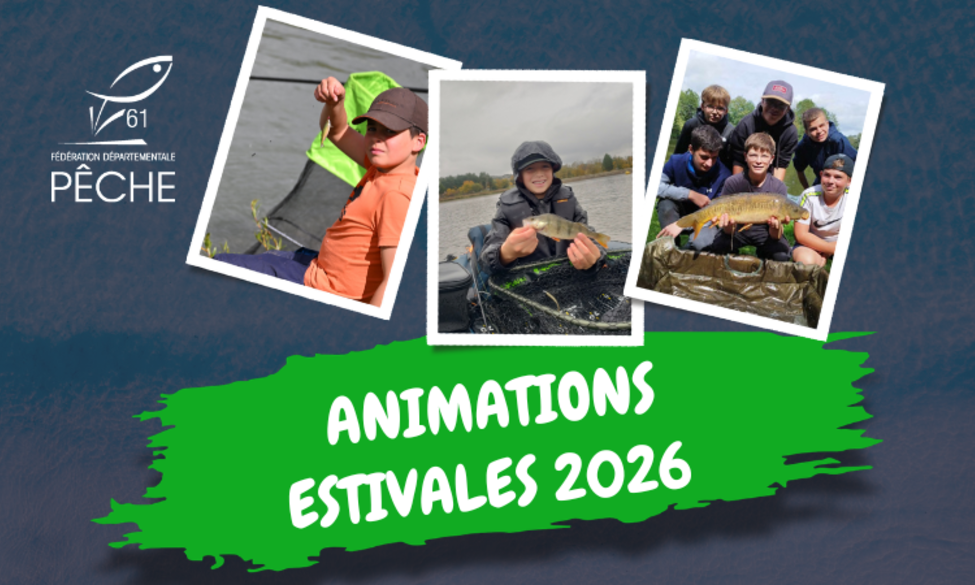 Animations estivales 2026