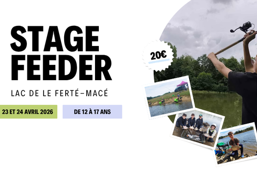 Stage pêche au feeder