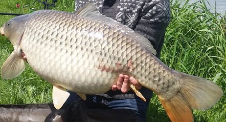 Enduro Carpe pour le Téléthon